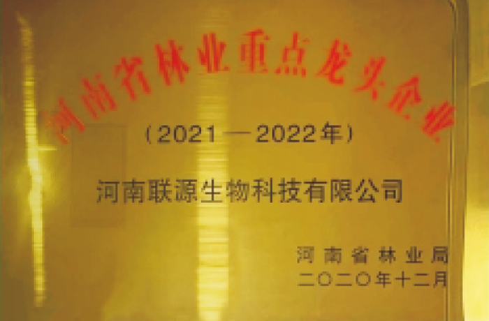 荣誉资质