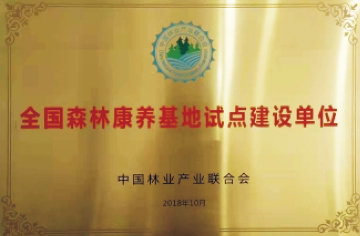 荣誉资质
