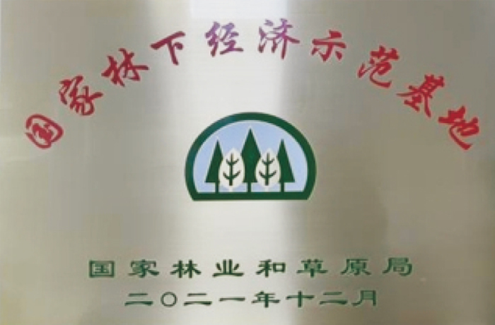 荣誉资质